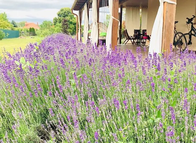 Сasa de vacaciones Levendulás Ház - Balatonfőkajár