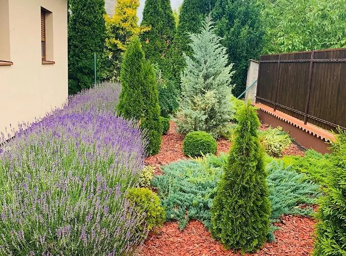 Levendulás Ház - * Balatonfőkajár