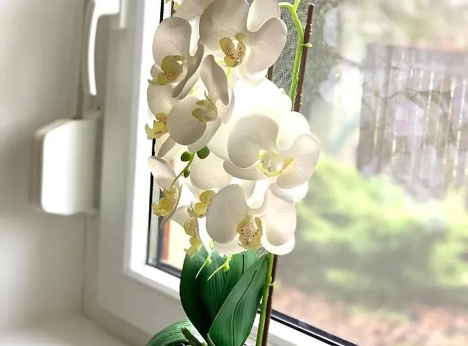 Levendulas Haz - Holiday home Balatonfokajar