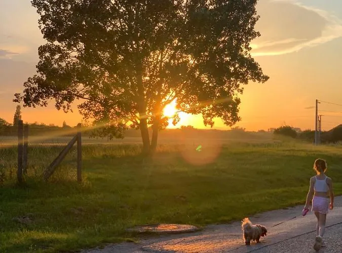 Сasa de vacaciones Levendulás Ház - *